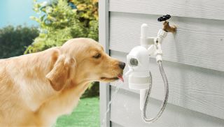  Outdoor Pet Drinking Fountain Dog Waterer by Contech Water