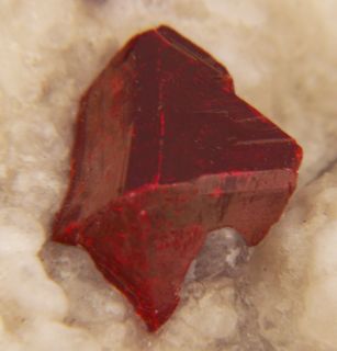 75 Gemmybloodred Cinnabar Crystals Dolomite China