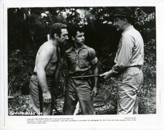 Movie Still Sal Mineo The Young DonT Cry 1957