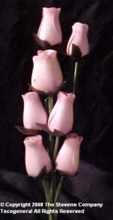 New 1 Dozen 12 Long Stemmed Birchwood Pink Roses