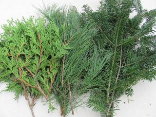  10 lbs Fresh Balsam Cedar and Pine Boughs Wreath