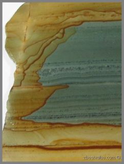 ZBV Awesome Succor Creek Picture Jasper Rough Slab