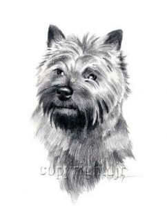 Cairn Terrier Dog Drawing Art Note Cards by Artist DJR