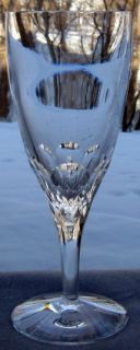 Waterford Elberon Iced Beverage Goblet New Mint