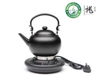 name horizontal handle autocontrol fast boil electric tea kettle