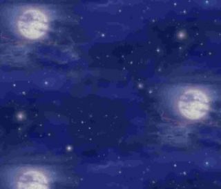 fabric bty elizabeth s studio mystical ride midnight sky moon
