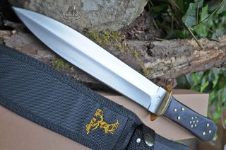   Knife New Dagger Sword Short Hunting Skinning Point Elk w Box Ridge