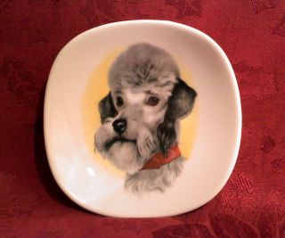 Royal Adderley Poodle Dog 4 Square Plate Coaster Bone China England
