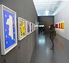 Henri Matisse, cutouts gallery in Centre Pompidou Metz , Metz .