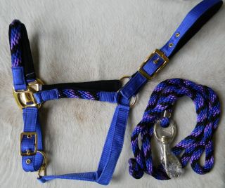   Royal Blue Horse Halter Includes Matching Lead Rope New Horse Tack