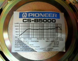 Speakers Trim and Electronics Only No Cabinets for Pioneer CS B5000
