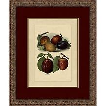 framed giclee print plums a d 20120411160326917~187192