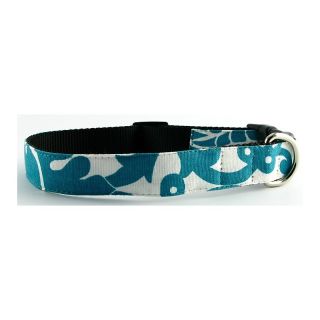  dog collar turquoise rating be the first to write a review $ 28 00