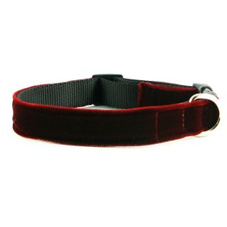 Isabella Cane Holiday Red Velvet Couture Dog Collar   Large