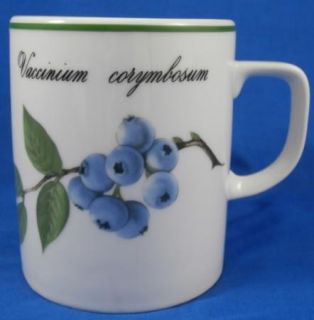 Apilco France ELYSIAN GARDEN Coffee Mug Blueberry (2 Available)