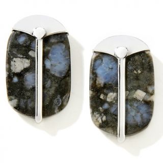 Jay King Mongolian Gemstone Sterling Silver Earrings