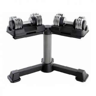  Weight Training ProForm ProQuick 100 lb. Dumbbell Set with Stand