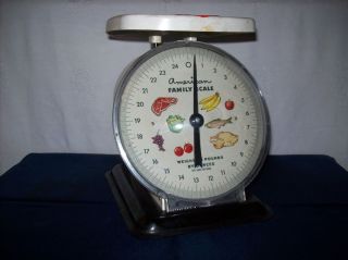Vintage Decorative American Family Scales Clear Face Cover
