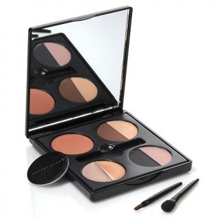 146 449 as seen on tv sheer cover sophisticate color face palette