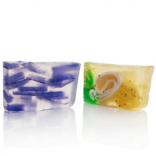 176 029 primal elements vegetable glycerin soap duo lemongrass and