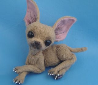 so excited to introduce my newest chihuahua fawn