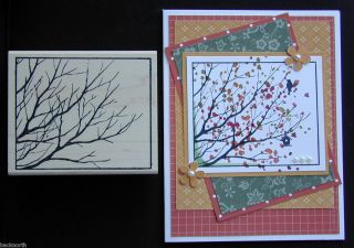 Stamp Lot FALL BRANCH OUT MAGNIFIED framed tree & Stampin up bonus