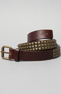 Publish The Hacienda Belt in Brown Concrete