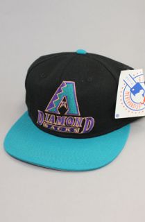 Vintage Deadstock Arizona Diamondbacks Fitted HatNEBlkTeal  Karmaloop