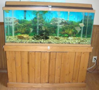 55 Gallon Fish Tank with Trimmings Supplies Filter Food Etc