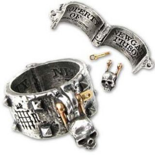 hinged fetter with brass shackle skull fastener to proudly mark a