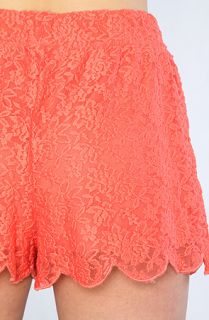 Free People The Lace Scalloped Short in Pink Coral