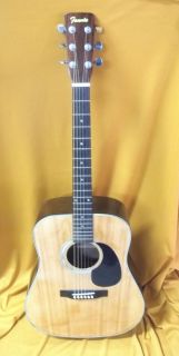 Vintage 1978 Fannin Acoustic 6 String Guitar