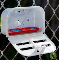 Fly Bait Stations VBM Stations Great with Maxforce Bait