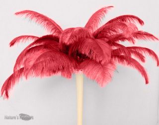 5pcs Ostrich Feathers Red Plumes Dyed 20 22 inches High Quality