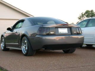 Smoked Kit Ford Mustang Taillight Smoke Tint Cover