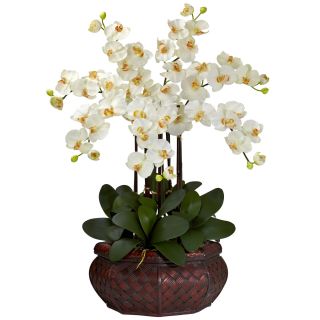 Large 30 Artificial Silk Fake Cream Orchid Flower Arrangement w Vase