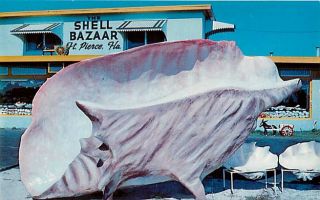FL Fort Pierce Stuart Florida Shell Bazaar Largest Conch Shell Dexter