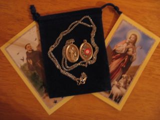 St Francis Assisi Relic Saint Medal 24 inch Necklace