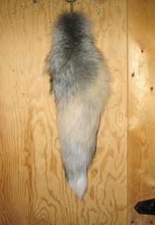 Golden Island Fox Tail with Chain Professionally Tanned x Large 19