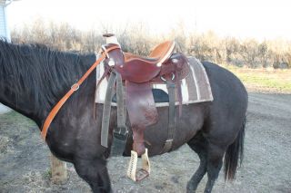  Used 16 inch Wade Roping Saddle