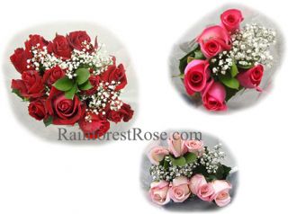   16 dozens of FRESH CUT ROSES with fillers Wholesale Flower 192 roses
