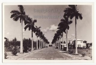 Fort Lauderdale FL Palm Lines Residential Street View c1940s Old