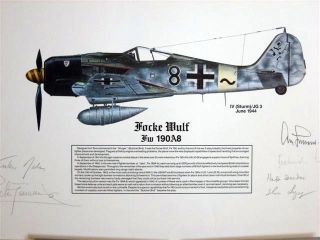 Fw190 Adolf Galland Signed Wooten 7 Signed Aviation Art