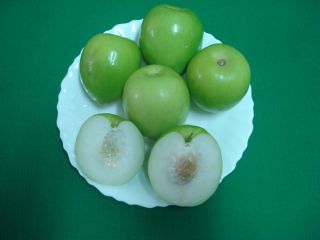 It is an important commercial fruit crop in taiwan, The trees are