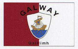 GALWAY COUNTY IRELAND IRISH FLAG 3X5 HISTORICAL BANNER GAILLIMH