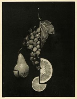 1932 Print Arthur Gerlach Fruit Orange Produce Grape Vine Art Pear
