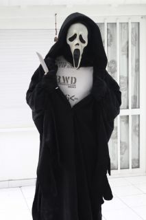 Scream FunWorld Ghostface Mask not Jason or Myers RARE