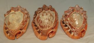 Vintage Gennaro Borriello Lot 3 Shell Cameo Paper Weights Display
