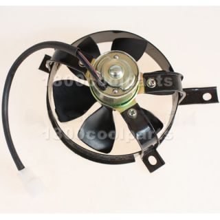  Cooling Fan Scooter Moped Go Kart Buggy CF 250cc Water Cooled