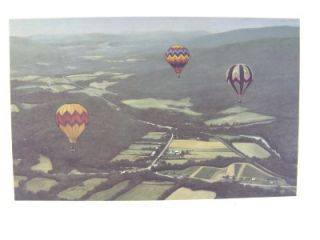 Flying High  Lithograph Gerald L Lubeck Signed Limited Edit Image 8